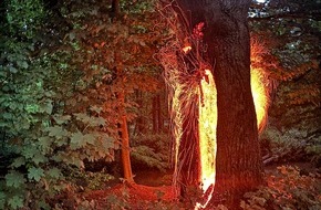Feuerwehr Neuss: FW-NE: Unwetterbilanz - Neuss bleibt weitgehend verschont | Drei wetterbedingte Einsätze im Stadtgebiet