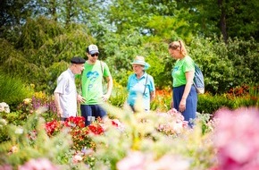 Lets GmbH: Corporate Volunteering zur Mitarbeiterbindung? / 7 Gründe, warum Unternehmen sich sozial engagieren sollten