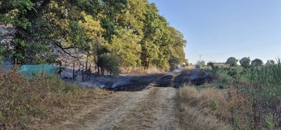 Freiwillige Feuerwehr der Gemeinde Sonsbeck: FW Sonsbeck: Waldbrand in Labbeck