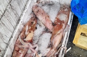 Polizeipräsidium Nordhessen - Kassel: POL-KS: Verkauf von verdorbenem Fisch aus verschmutztem Lieferwagen durch Polizei gestoppt: Entsorgung von 450 Kilogramm