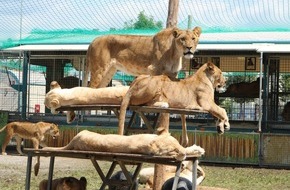 Aktionsbündnis "Tiere gehören zum Circus": Circus Krone in Trier: Aktionsbündnis erhebt schwere Vorwürfe gegenüber Deutschem Tierschutzbund