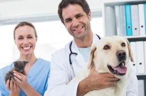 Helvetia Versicherungen Deutschland: Tierkrankenversicherung für Hunde und Katzen: Noch besserer Schutz für treue Begleiter