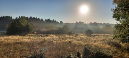 Deutsche Bundesstiftung Umwelt (DBU): DBU Naturerbe beauftragt am Stegskopf Unternehmen mit geschützter Forsttechnik zur Fichtenentnahme