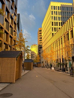 «Zürcher Weihnachtsallee» eröffnet am Donnerstag erstmalig