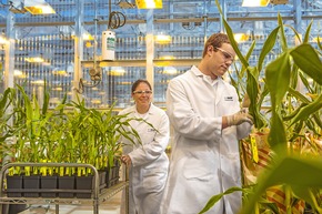 BASF bietet honorarfreies Fotomaterial für Journalisten in der Bilddatenbank der Deutschen Presse-Agentur (dpa) zum Zwischenbericht 3. Quartal 2014 (FOTO)