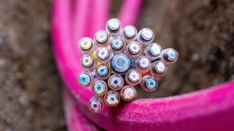 Deutsche Telekom AG: Telekom baut Kirchtrudering flächendeckend mit Glasfaser aus