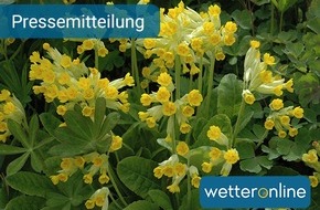 WetterOnline Meteorologische Dienstleistungen GmbH: Garten: Kaltkeimer brauchen Kälteschock - Aussaat im Januar noch möglich