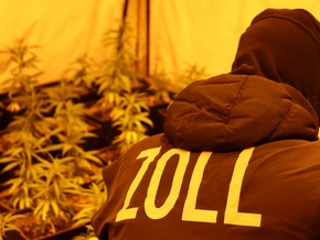 ZOLL-E: ZeOS NRW &amp; Zollfahndung Essen:Schlag gegen mutmaßliche internationale Drogenhändler - Cannabisplantage, ca. 7 kg Betäubungsmittel, 110.000 EUR Bargeld und 5 Waffen sichergestellt - 9 Festnahmen