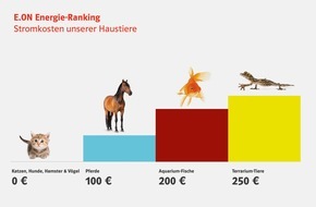 E.ON Energie Deutschland GmbH: Internationaler Katzentag: Stubentiger sind die stromsparendsten Haustiere