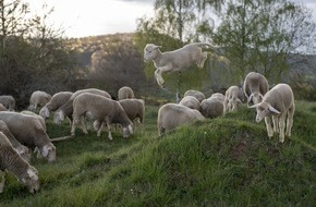 VIER PFOTEN - Stiftung für Tierschutz: Une mode respectueuse des animaux pour la fête des mères
