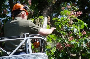 Freiwillige Feuerwehr Menden: FW Menden: Sturmschaden am Schattige