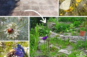 Provinzial Holding AG: Bodenluft: Steine raus. Natur rein. &ndash; Der Entsiegelungs-Wettbewerb der Hamburger Feuerkasse startet in die n&auml;chste Runde