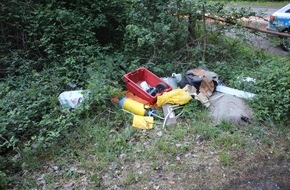 Polizeidirektion Kaiserslautern: POL-PDKL: Illegale Müllablagerung