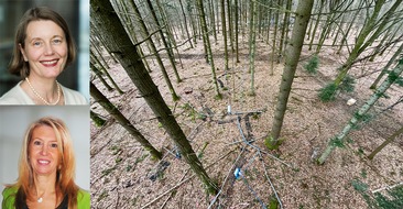 Albert-Ludwigs-Universität Freiburg: Internationaler Tag des Waldes: Wie technische Innovation hilft, gestresste Wälder besser zu verstehen