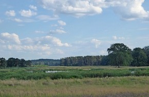 Deutsche Bundesstiftung Umwelt (DBU): DBU Naturerbe: Wasser in der Landschaft halten - Moorschutz ist Klimaschutz