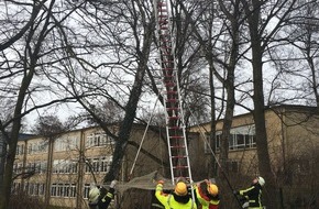 Feuerwehr Bochum: FW-BO: Feuerwehr rettet Katze von einem Baum