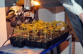 Polizeiinspektion Cuxhaven: POL-CUX: Polizei stellt Indoor-Plantage sicher