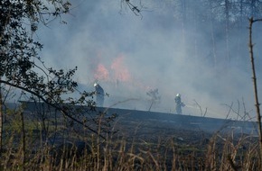 Freiwillige Feuerwehr Breckerfeld: FW-EN: Waldbrand