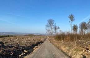 MGS Meine-Gesundheit-Services GmbH: 50 eRECHNUNGen für einen Baum im Westerwald