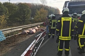 Feuerwehr Schermbeck: FW-Schermbeck: Verunfallter Viehanhänger sorgte für Einsatz der Feuerwehr
