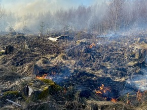 FW-MK: Erster Waldbrand des Jahres