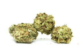 Oehler Web: Preisgekrönte Schweizer Qualität an CBD-Produkten – Hier weiss man, was man bekommt