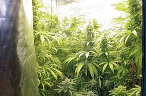 Polizeipräsidium Westpfalz: POL-PPWP: Illegal Cannabis angebaut