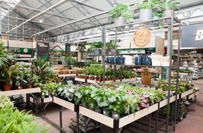 toom Baumarkt GmbH: Neues Konzept der toom Gartenwelt / Zukunftsweisendes Konzept mit klarem Fokus auf Orientierung und Pflanzenkompetenz