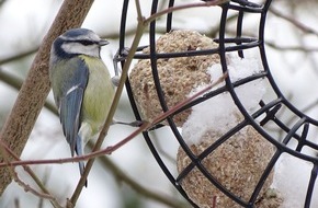 Zentralverband Zoologischer Fachbetriebe Deutschlands e.V. (ZZF): Harte Wochen für Wildvögel: Vogelfütterung bietet Überlebenshilfe für den Winter