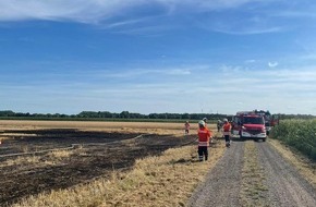 Kreisfeuerwehr Rotenburg (Wümme): FW-ROW: Feuerwehren verhindern größeren Flächenbrand