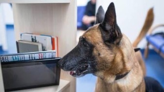 Polizei Wuppertal: POL-W: RS Nach Missbrauchsverdacht - Datenträgerspürhund durchsucht Wohnung des Verdächtigen