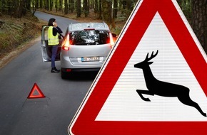 HUK-COBURG: Mehr Wildunfälle im Herbst / Wer durch Waldstücke fährt, muss Geschwindigkeit anpassen und vorsichtig fahren