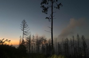 Feuerwehr Detmold: FW-DT: Feuermeldung / Unklare Rauchentwicklung