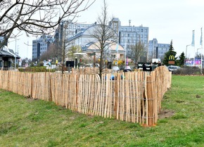 BAUHAUS pflanzt Waldinsel in Leipzig