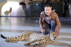 ZDF: Von tierischen Riesen und Zwergen/ ZDF zeigt zwei neue Folgen "Terra X: Supertiere" mit Dirk Steffens (BILD)