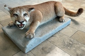 Hauptzollamt Landshut: HZA-LA: Das Hauptzollamt Landshut stellt sich vor/ Zollinfotag - Karriere des Hauptzollamts Landshut am 9. Mai 2026 in Passau