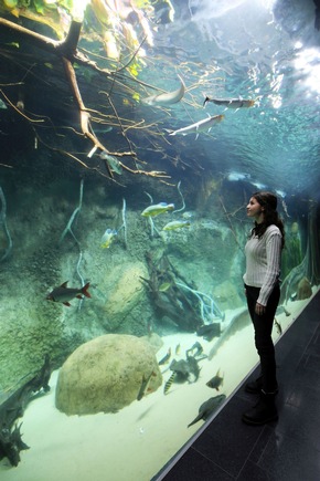 Historisches Aquarium im Zoo Leipzig nach Modernisierung wiedereröffnet