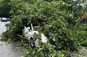 Feuerwehr Norderstedt: FW Norderstedt: Baum trifft PKW - Unwetter zieht auch an Norderstedt nicht spurlos vorbei