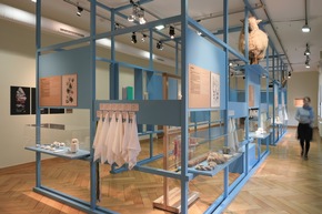 MATERIAL MATTERS. Eine Ausstellung im Textilmuseum St. Gallen