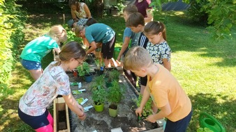 Stiftung für Mensch und Umwelt: ð±ððDeutschland summt!-Pflanzwettbewerb: 150 kostenfreie Kräuterpakete für Kinder- & Jugendgruppen ð¿