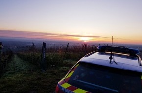 Polizeidirektion Neustadt/Weinstra&szlig;e: POL-PDNW: Alarmanlage - Einbrecher fl&uuml;chtet nach Einbruchversuch