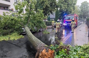 Feuerwehr Dresden: FW Dresden: Mehrere sturmbedingte Einsätze im Stadtgebiet