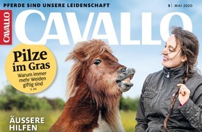 Motor Presse Stuttgart: Gift im Gras: CAVALLO berichtet, wie Koppeln durch Dürre und belastetes Saatgut zur Gefahr für Weidetiere werden