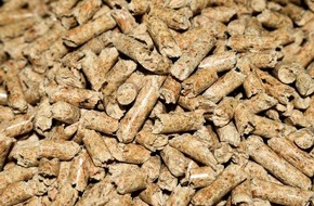 Deutsche S&auml;ge- und Holzindustrie Bundesverband e. V. (DeSH): Entwurf des Geb&auml;udemodernisierungsgesetzes droht Heizen mit Holz auszuschlie&szlig;en