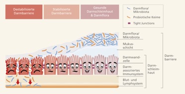 CGC Cramer-Gesundheits-Consulting GmbH：Reizdarm，Morbus Crohn und Colitis ulcerosa：/Neue Studien zeigen：没药-Arzneimittel kann Darmbeschwerden wie Durchfall lindern und“肠道泄漏”修复