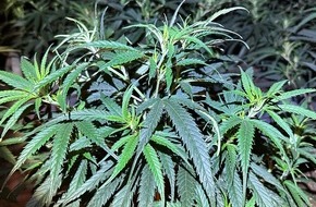 Landespolizeiinspektion Nordhausen: LPI-NDH: Cannabisplantage aufgefunden - Polizei nimmt zwei Tatverdächtige vorläufig fest