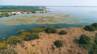 Global Nature Fund: Natürlicher Klimaschutz: Bündnis lädt zu Seenfachtagung 2023