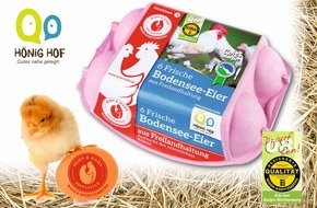 NORMA: NORMA setzt ein Zeichen gegen das Kükenschreddern / Eier der "Huhn und Hahn Initiative" erweitern NORMA-Sortiment in Baden-Württemberg (FOTO)