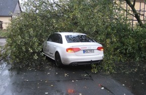 Polizeiinspektion Hameln-Pyrmont/Holzminden: POL-HOL: Grüne Weide begräbt in Warbsen weißen Audi / Landkreisweit keine nennenswerten Unwetterschäden