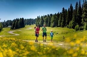Tourismusverband Murau: Erlebnisregion Murau in der Steiermark - Genuss, Abenteuer und viel Natur pur